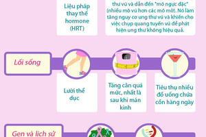 Các yếu tố làm tăng nguy cơ ung thư vú