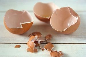 Công dụng chữa bệnh bất ngờ từ vỏ trứng gà 	Hiện nay khoa học đã xác nhận vỏ trứng gà đem lại cho sức khỏe mà còn có thể dùng làm thành những chế phẩm rất hữu ích.
