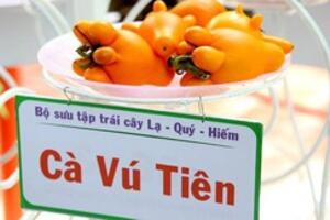 Tạp chí uy tín thế giới viết về 2 chất độc trong quả dư bán chưng Tết tràn lan ở Việt Nam