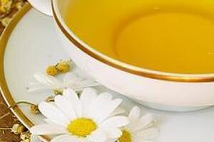 Uống trà hoa cúc chữa chứng nhức mỏi