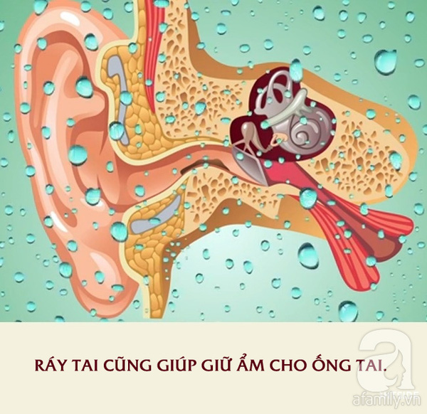 không dùng tăm bông lấy ráy tai