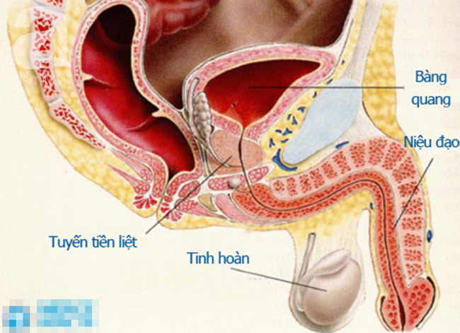 “Tự sướng” quá đà: 2 thanh niên lĩnh hậu quả ngay trước ngày cưới và bác sỹ điều trị cũng phải “bó tay” - Ảnh 3.