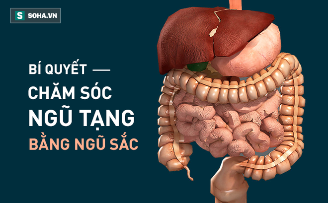 Thuốc bổ không bằng thực phẩm bổ: Cách chăm sóc ngũ tạng tốt nhất giúp bạn sống thọ hơn - Ảnh 1.