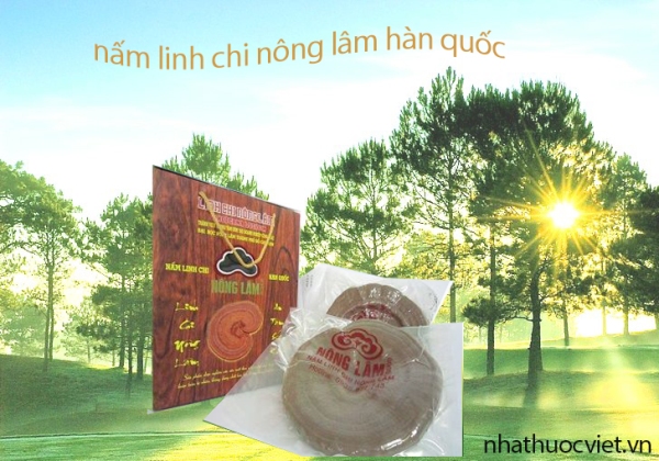 nam-linh-chi-do-han-quoc-nong-lam