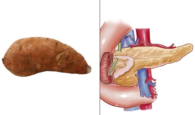 Kỳ diệu những thực phẩm ăn gì bổ nấy - Ảnh 12.