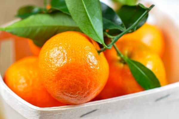 7 lý do nên ăn quýt mỗi ngày - Ảnh 1. 7 lý do nên ăn quýt mỗi ngày - Ảnh 1.