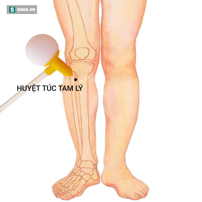 Bí quyết dưỡng sinh thuận âm dương nổi tiếng TQ: Người làm được đều khỏe mạnh sống lâu - Ảnh 6.