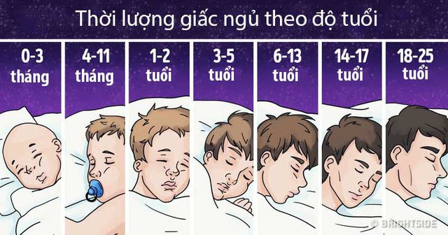 Ngủ bao nhiêu giờ/ngày là đủ: Không phải 8h, nhà khoa học đưa ra đáp án khác rất chính xác - Ảnh 3.