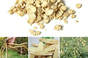 Bài thuốc trị sa trực tràng