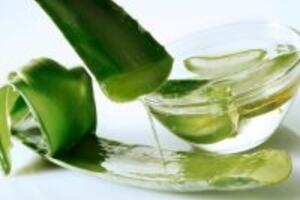 Các thực phẩm giúp trị bệnh chàm tại nhà