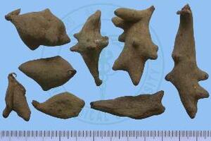 Thuốc hay Ngũ bội tửNgũ bội tử là những túi đặc biệt do nhộng của con sâu Ngũ bội tử (Melaphis chinen sí (Bell) Baker) ký sinh trên những cuống lá và cành của cây Muối tạo thành...