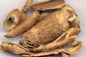 Thuốc điều trị rối loạn kinh nguyệt