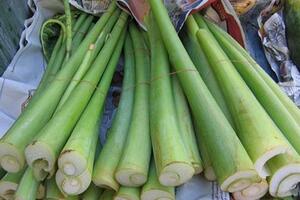 Món ăn thuốc từ dọc mùng