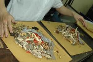 Chi tử xị thang- Bài thuốc chữa bệnh hiệu quả