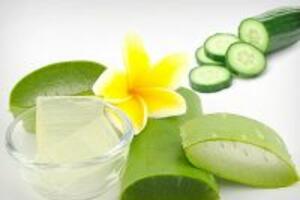 Mách bạn 2 cách trị nám da an toàn với lô hội