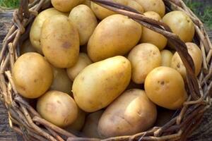 Mách nhỏ 3 cách làm trắng da mặt từ nước ép Khoai tây