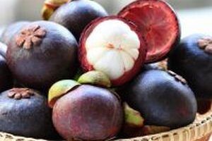 Sự thật chữa bệnh ung thư gan bằng măng cụt có chính xác không?