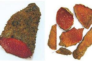 Củ nâu - thuốc hoạt huyếtĐông y cho rằng, củ nâu có vị ngọt, chua và se, tính bình, không độc, có tác dụng thanh nhiệt, sát trùng, cầm máu, hoạt huyết,...