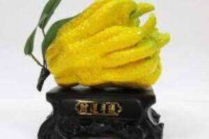 Quả phật thủ – vị thuốc nhiều tác dụng