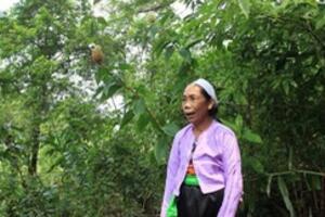 Bài thuốc nam chữa khỏi bệnh khó chữa mà bệnh viện đã bó tay