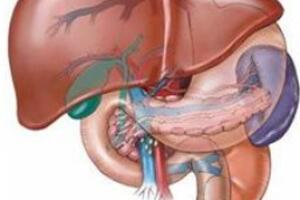 Triệu chứng nhận biết bệnh viêm gan siêu...