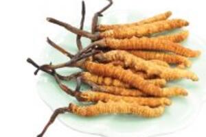 Những thức ăn giúp tăng cường trí nhớ, bổ não