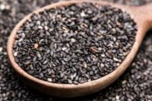 Hỏi – Đáp : Vừng đen có điều trị được tóc bạc sớm không?