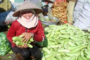 Dưa gang: Dưỡng huyết, an thaiDưa gang có vị ngọt, tính mát, có tác dụng giải khát, thông khí, lợi tiểu. Trong những ngày hè, ăn dưa có thể phòng ngừa được cảm nắng...