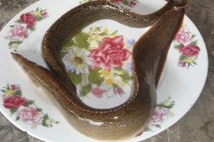 Cá chạch tăng khả năng tình dụcCá chạch tuy không phải là sơn hào hải vị, nhưng lại có giá trị dinh dưỡng cao, bởi vậy mà còn được gọi là “nhân sâm nước”.