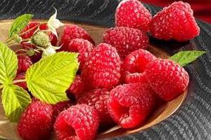 Cây mâm xôi chữa viêm ganCây mâm xôi là vị thuốc dân gian được dùng làm thuốc chữa tiêu hoá kém, giúp ăn ngon cơm…