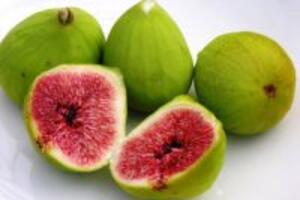 Cách trị bệnh sỏi mật bằng quả sung không bị tái phát