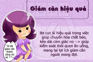 Phát hiện những lợi ích "không thể ngờ tới" của quả bơ