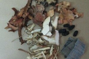 Bài thuốc tái tạo hoàn