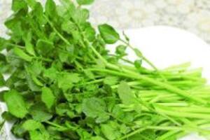 5 tác dụng chữa bệnh không thể bỏ qua từ rau cải xoong