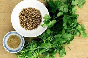 Những tác dụng tuyệt vời của rau mùi ngày Tết