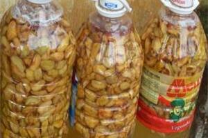 Táo mèo (sơn tra), vị thuốc quýTheo y học cổ truyền, táo mèo (sơn tra) có tác dụng: Tiêu thực hóa tích, hoạt huyết tán ứ.