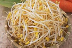 Giá đỗ - Vị thuốc tuyệt hảoGiá đỗ bổ hơn hạt đỗ về cả chất lượng và đó là một trong những điều kỳ diệu của giá. Qua quy trình ngâm ủ, giá sẽ có hàm lượng protein, axit amin và vitamin C cao hơn.