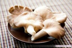 Giảm cholesterol và đường huyết từ nấm bào ngưĐông y cho rằng, nấm bào ngư có vị ngọt, tính ấm, công năng tán hàn và thư cân…