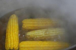 Lợi ích tuyệt vời của bắp ngôChúng ta thường xuyên ăn ngô dù là ngô luộc và ngô nổ, nhưng ít người biết tác dụng của loại thực phẩm phổ biến này.