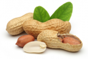 Lạc – thần dược cho mùa lạnh