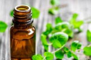 Cách trị mụn thâm ở lưng với 3 loại tinh dầu