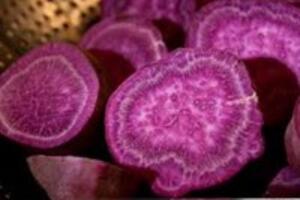 Công dụng chữa bệnh ung thư của khoai lang tím