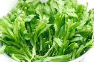 Món ăn, bài thuốc từ rau cải cúc