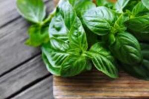 8 loại rau xanh tăng cường vẻ đẹp chị em không nên bỏ qua