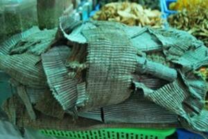 Đỗ trọng chữa liệt dương