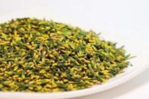 6 bài thuốc đông y chữa bệnh mất ngủ