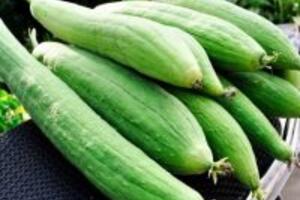 Công dụng chữa bệnh từ trái mướp