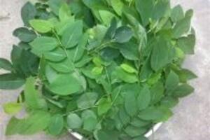 2 công thức trị sẹo an toàn không nên bỏ qua