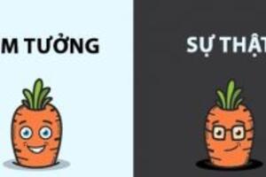 Ăn cà rốt nhiều sẽ có hại cho đôi mắt? Đúng hay Sai?