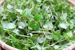 Giảm béo hiệu quả với rau càng cua